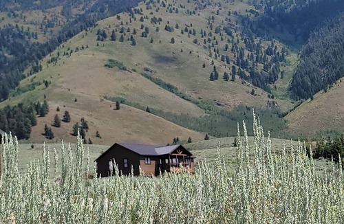 Island Park Cabin | NEW Yellowstone & Lake View Cabin; KING bed; AC; central location; 360° VIEWS!