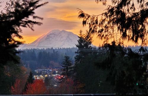 Kingsgate House | NO PARTIES! 3-bedroom with Hot Tub & Mt.Rainier Views and Huge Fenced Yard.