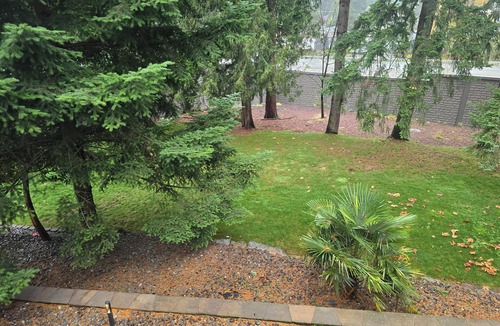 Kingsgate House | NO PARTIES! 3-bedroom with Hot Tub & Mt.Rainier Views and Huge Fenced Yard.