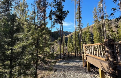 Stanley Cabin | On the River! Newly remodeled 3 bedroom Log Cabin Located Near Stanley Idaho