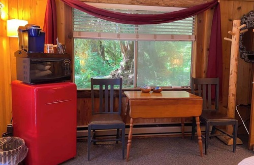 Forks Apartment | Owl Cottage Suite near Olympic National Park