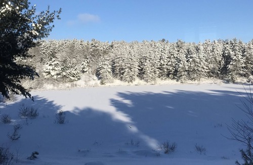 Mancelona Cottage | Peaceful retreat, close to orv trails .
