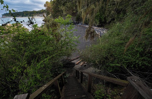 Lopez Island Cabin | Peaceful waterfront cabin on Lopez Island