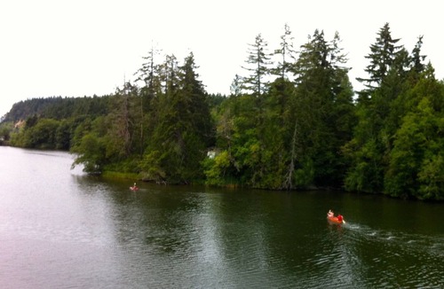 Longbranch Cabin | Peaceful Waterfront Cove Cabin with Canoe and SUPs, Perfect for Summer