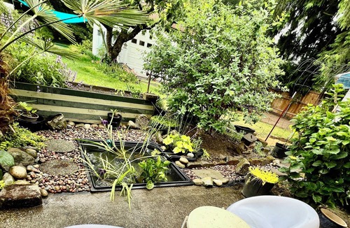 Tukwila House | PEAK GLAMPING EXPERIENCE on 1/2 acre w/trees and gardens. Vegetarian/No smokers