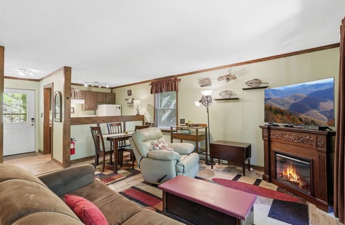 Beech Mountain Cabin | Pet Friendly Beech Condo w Fireplace+Walk to Lift!