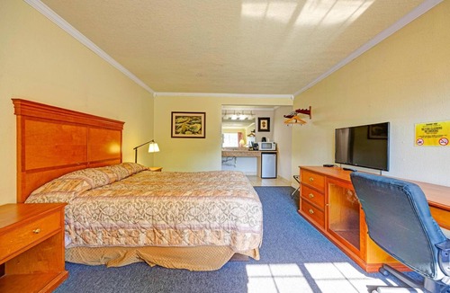 Stevenson Hotel | Pet-Friendly Riverside Stay w/Queen Bed – Affordable Find for Nature Seekers!
