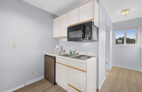 Ocean Shores Condo | Pet-Friendly Studio with Kitchenette & Pool Access