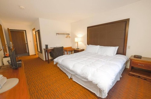 Harlan Hotel | Pets Welcome, Room Near Purple Door & Free Parking