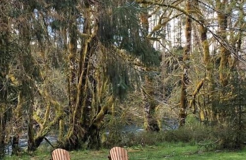 Sappho House | ‘Pine’ Riverfront Cabin near Olympic National Park
