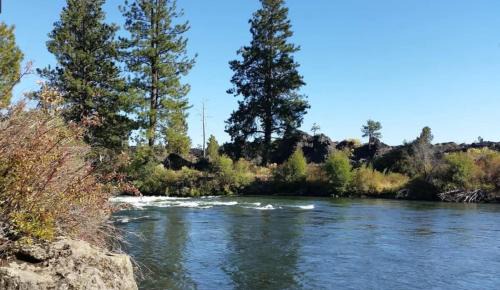 Deschutes River Woods Apartment | Private Cottage Near Scenic Deschutes River Woods!