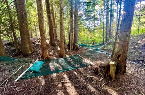 Blanchard Cabin | Private Forest Two-Cabin Retreat Near Silverwood Theme Park - Sleeps 15