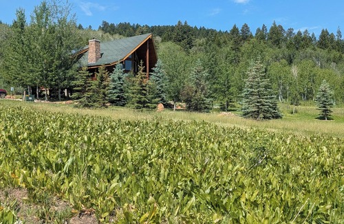 Thatcher Cabin | Private getaway near Bear Lake, ATV hike, cave tours, and kayaking, game room.