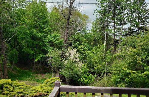 Kalispell House | Private Spacious Newly Remodeled Historic House Near Downtown Kalispell