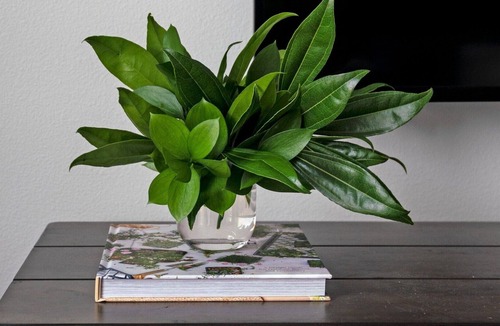 Downtown Jackson Apartment | Professionally-cleaned 1BD Loft at the heart of Jackson | Barsala