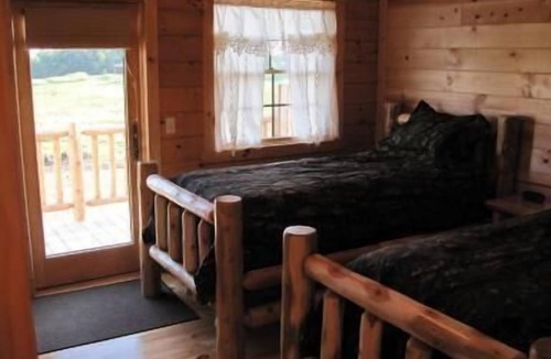 Moravia Cabin | Quail Run - Dog-Friendly - Sleeps up to Four