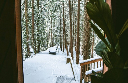 Sudden Valley Cabin | Quiet and cozy cabin, minutes to trailheads and Bellingham.