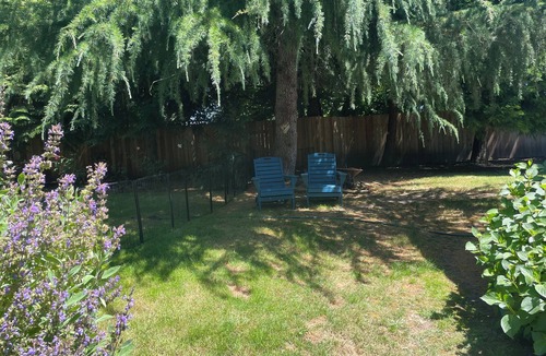 Albany Apartment | Quiet, pet friendly country studio in quaint Albany just minutes from town