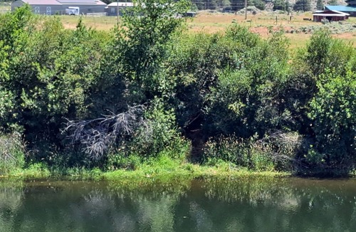 Chiloquin Cabin | Ranch cabin close to Williamson River, Agency Lake.