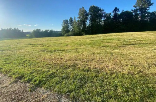 Ferndale RV Rental | Ravens’ pad campsite at June Bud Farms