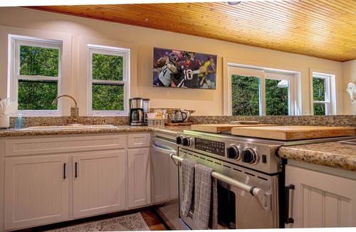 Hailey House | Red Elephant | 4BR - Fire Pit - River & Downtown