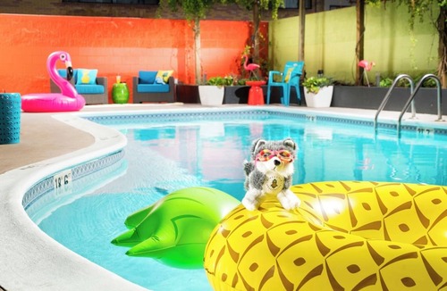 University District Hotel | Relaxing Seattle Room Ideal for Exploring | Free Parking