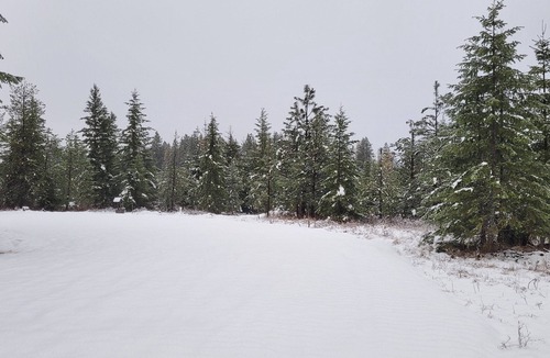 Harvard RV Rental | Remote RV site w/o hookups. Perfect for campers under 30 feet. Site C.