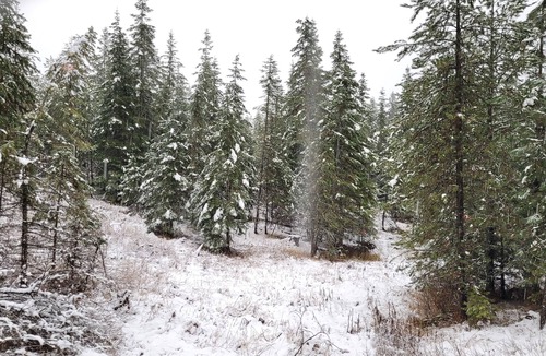 Harvard RV Rental | Remote RV site w/o hookups. Perfect for campers under 30 feet. Site C.