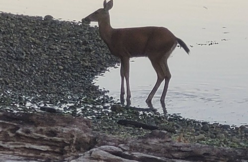 Gig Harbor House | Rest, Relax, Rejuvenate in beautiful Gig Harbor Washington