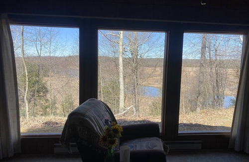 Wellston Cabin | Riverview Hideaway New! Manistee River Frontage 2 Bedrom Cabin