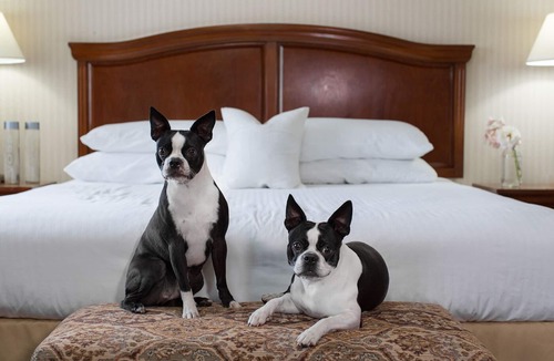 Medford Hotel | Rogue Regency Inn Medford Airport