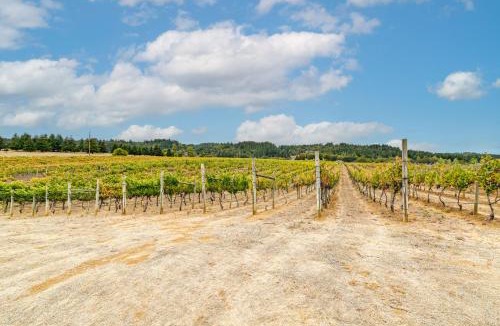 Oakland House | Romantic Vineyard Getaway in Oakland: Mtn Views!