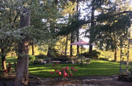 Gold Hill Cabin | Rosie's Woodland Paradise! Come relax and rejuvenate!