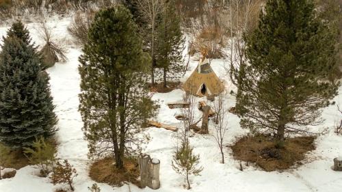 Garden Valley Other | Running Horse in Garden Valley, ID