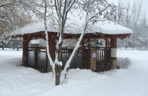 Winthrop Cabin | Running Wolf Cabin (1 BR) – ski trail access, pool/hot tub, and playground