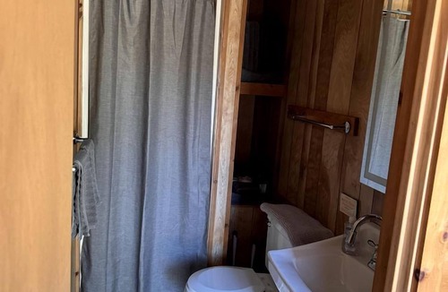 Millersburg Cabin | Rustic Luxury with Pets: Pet-Friendly Glamping in Ocqueoc Township, Michigan