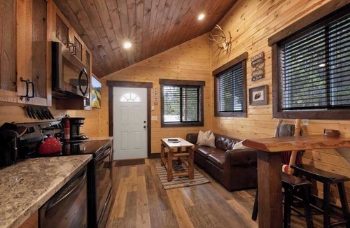 Island Park Apartment | Rustic Tiny Cabin Near YNP | King Loft | The Grizz