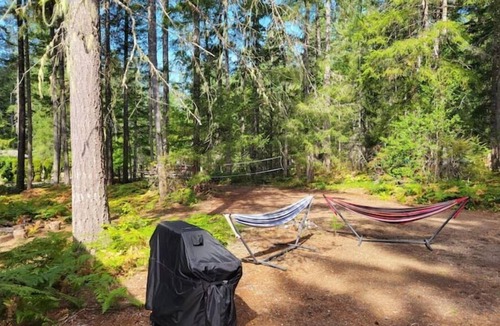 Hoodsport Cabin | San Gregorio - A Cozy & Dog Friendly Forest Retreat