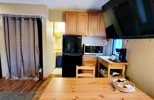 Bellaire Apartment | Schuss Village Studio Unit 117 True Ski-in/Ski-out.