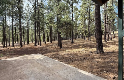 Greer Cabin | “Scout’s House” cabin on 2 acres Dog Friendly!