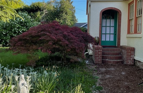 Corvallis Cottage | ShiShi's Cottage-Walk to OSU