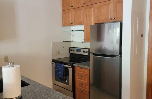 Salt Lake Mountain Resorts Apartment | Solitude ski condo