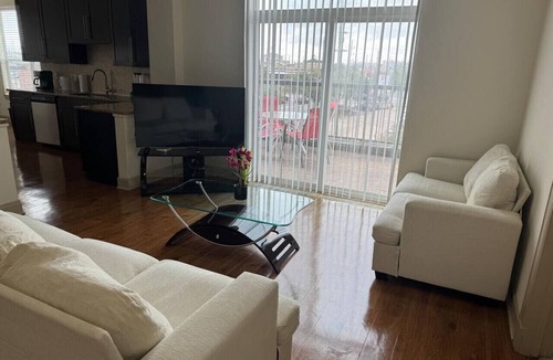 Astrodome Apartment | Spacious 3-Bed, 2-Bath Apartment Near NRG Stadium