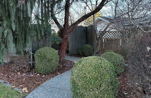 College Place House | Spacious 4 bedroom house with hot tub, private deck, EV charger 10 min from WW