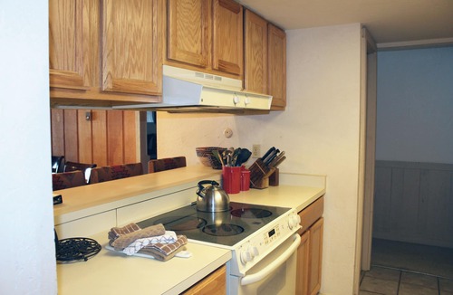 Mount Crested Butte Condo | Spacious Condo; Amazing Views! Ski-in/Out. Fireplace, Balcony