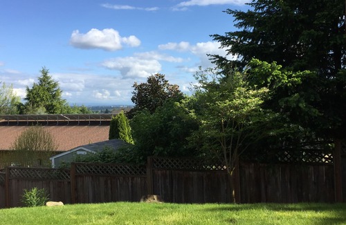 Dundee House | Spacious Single Party B&B – walking distance to downtown!