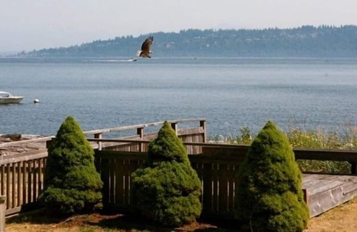 Clinton Cottage | Spectacular Beach Setting on the South Shore of Whidbey Island!