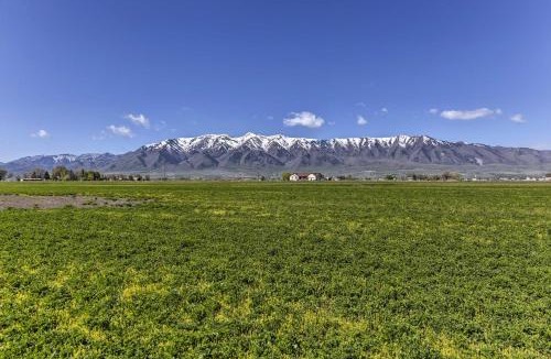 Benson House | Spring Creek Retreat on 25 acres with Mountain Views!