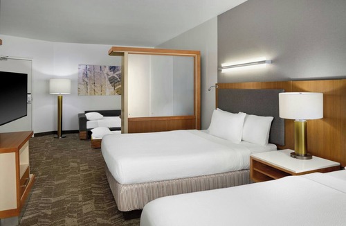 Romulus Hotel | SpringHill Suites by Marriott Detroit Metro Airport Romulus
