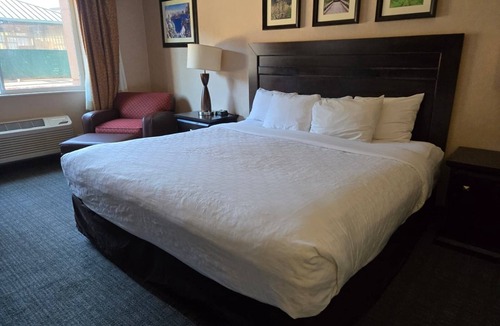 Medford Hotel | Standard 1 King Bed Non-Smoking